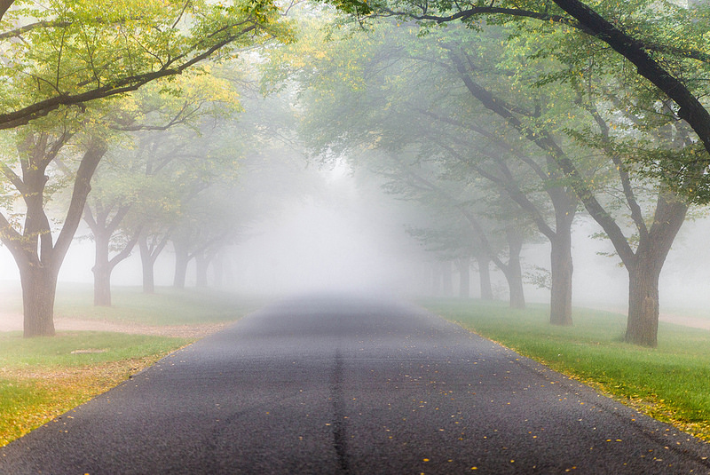 Dicas para dirigir em dias de neblina