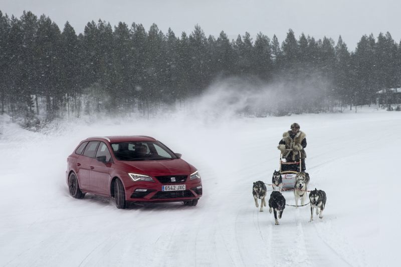 Seat Leon Cupra desafia seis Huskies Siberianos na neve