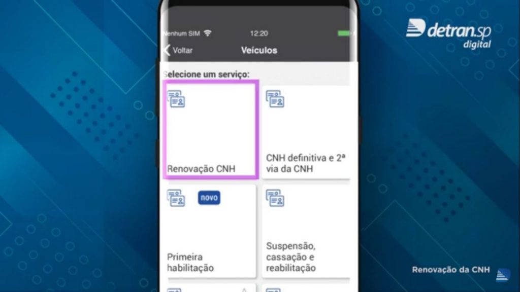 renovar CNH