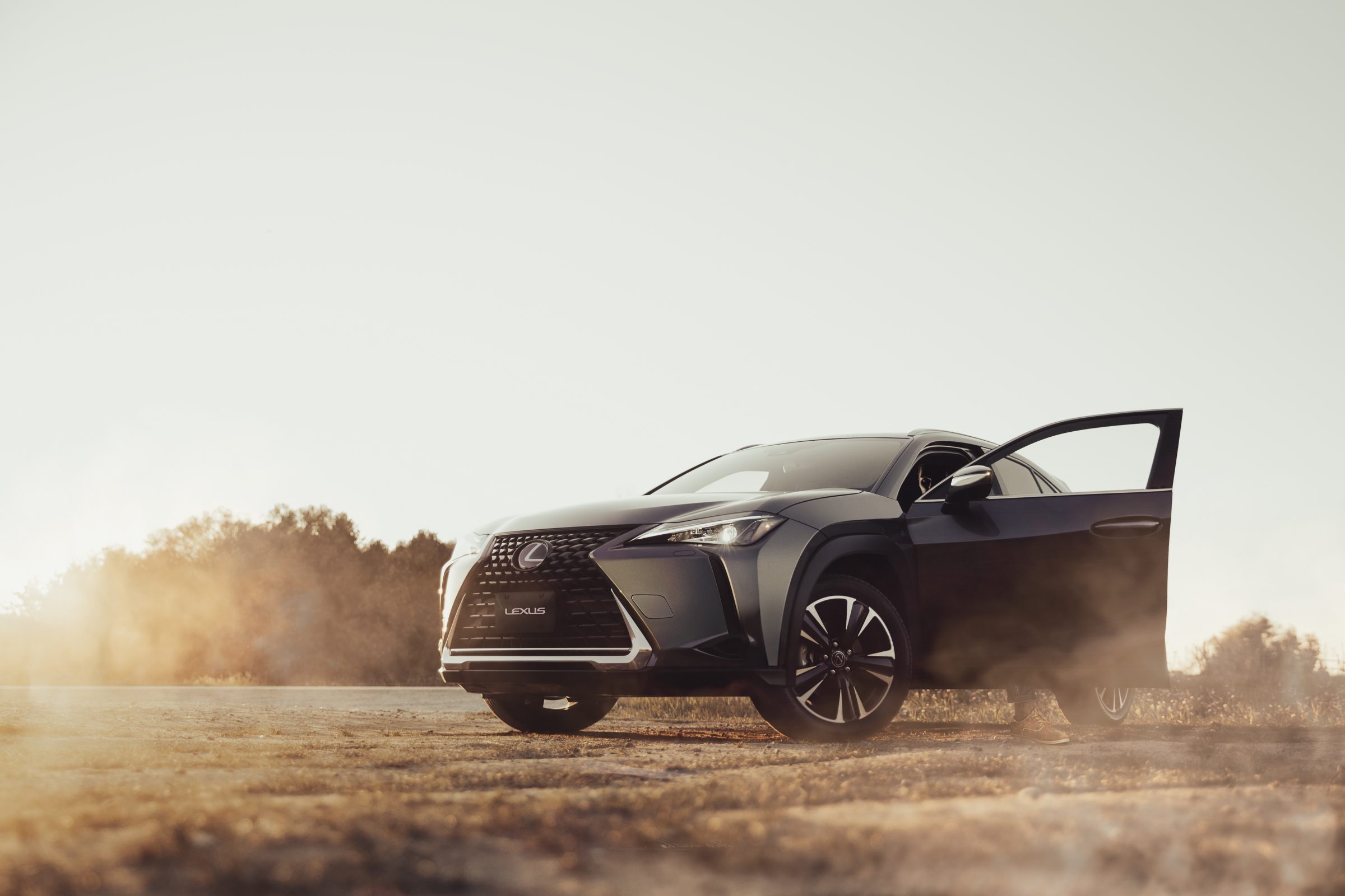 Lexus UX250h 2023