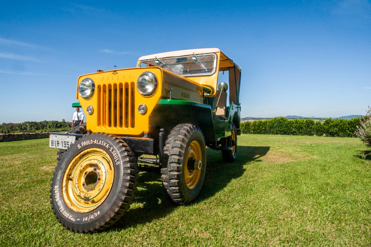 Jeep CJ-3B completa 70 anos; relembre a história do modelo