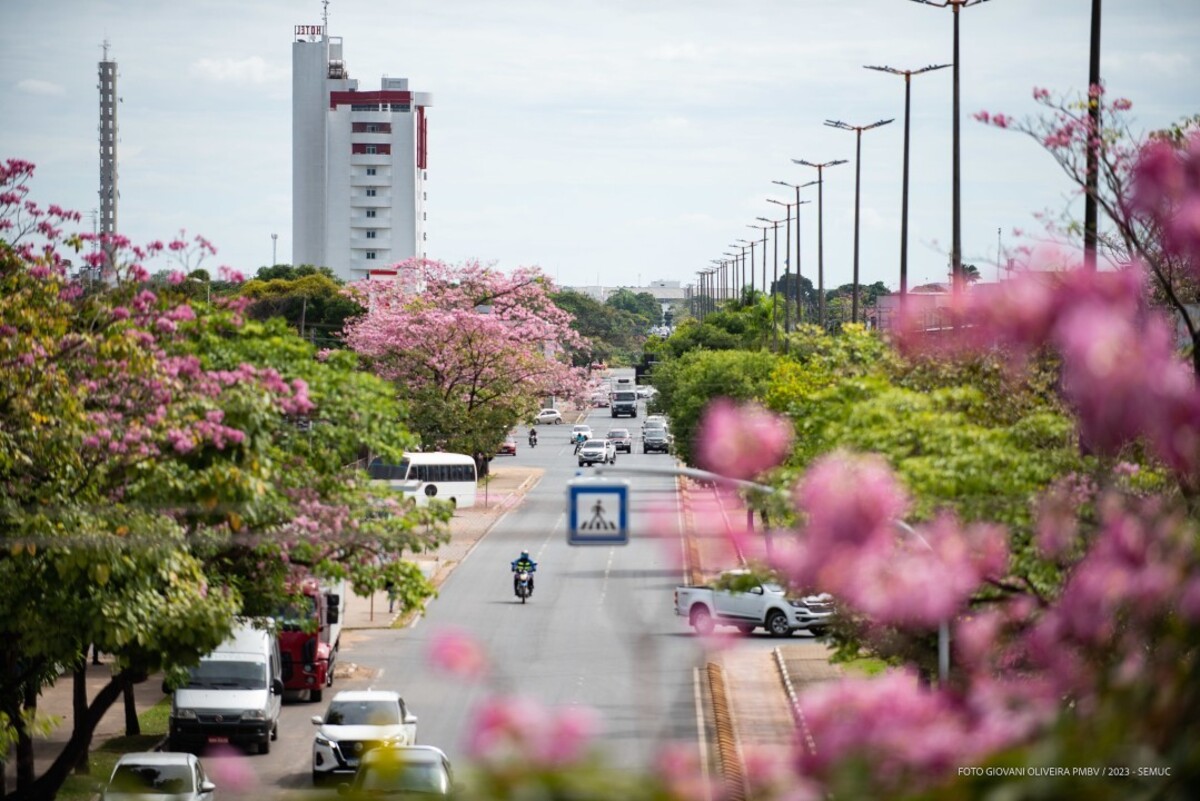 Nunca é cedo demais para começar a se planejar para o pagamento do IPVA