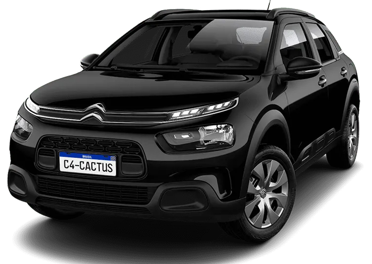 C4 Cactus - Foto: Divulgação