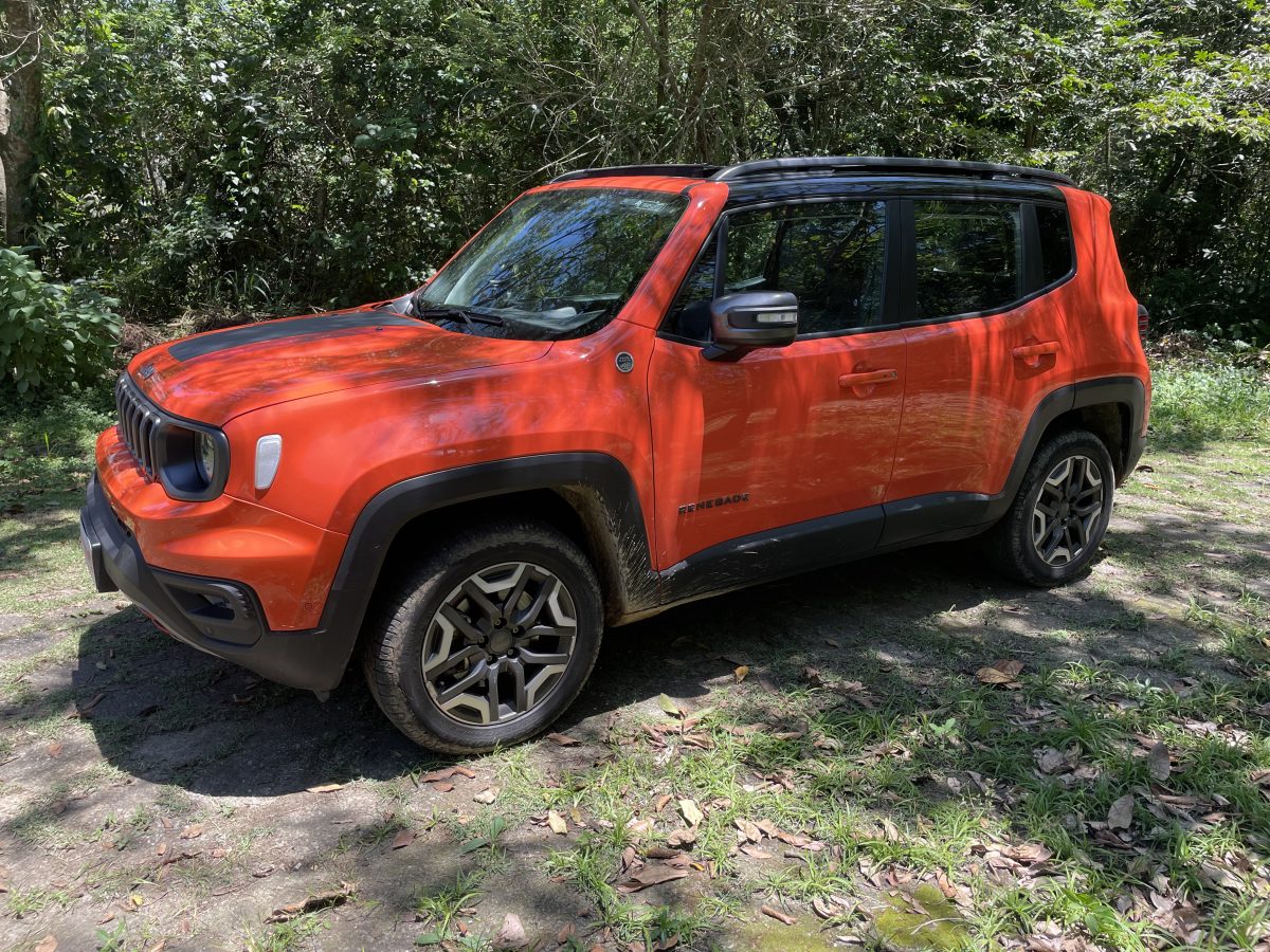 Líder absoluta e referência no segmento: essa é a marca que mais vende SUV 4x4 no Brasil