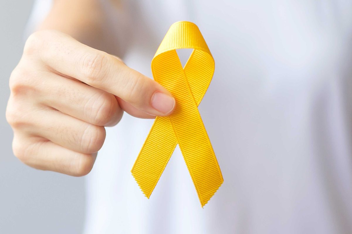 Maio Amarelo: 6 dicas que podem salvar a sua vida no trânsito