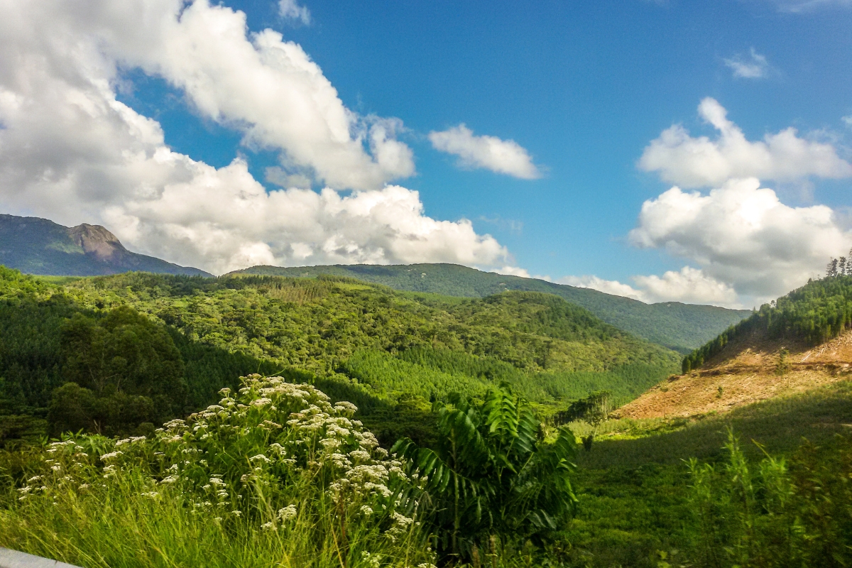 Foto: reprodução/internet - Monte Verde 