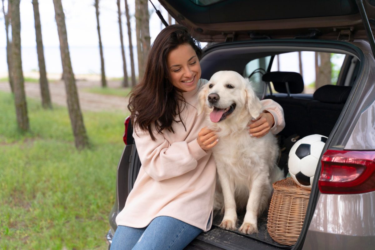 3 regras para viajar de carro com pet que você precisa saber antes de pegar a estrada