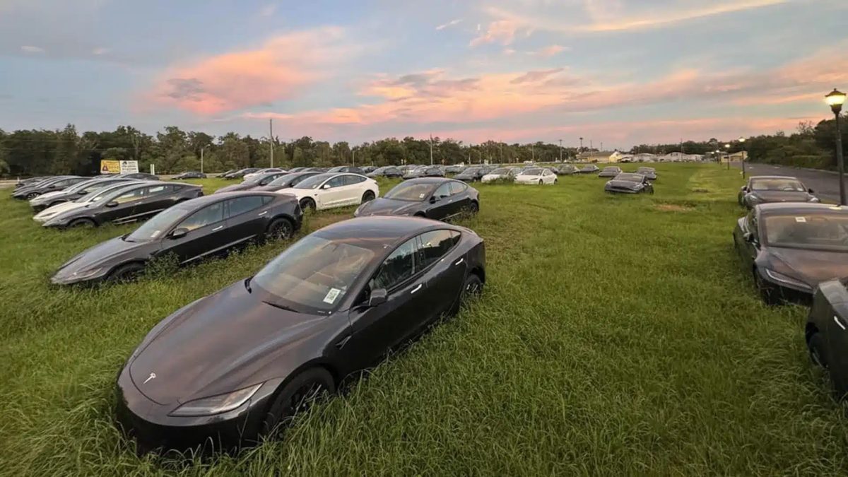 Vendas encalhadas? Entenda o motivo por trás da “plantação de Teslas” em campo dos EUA