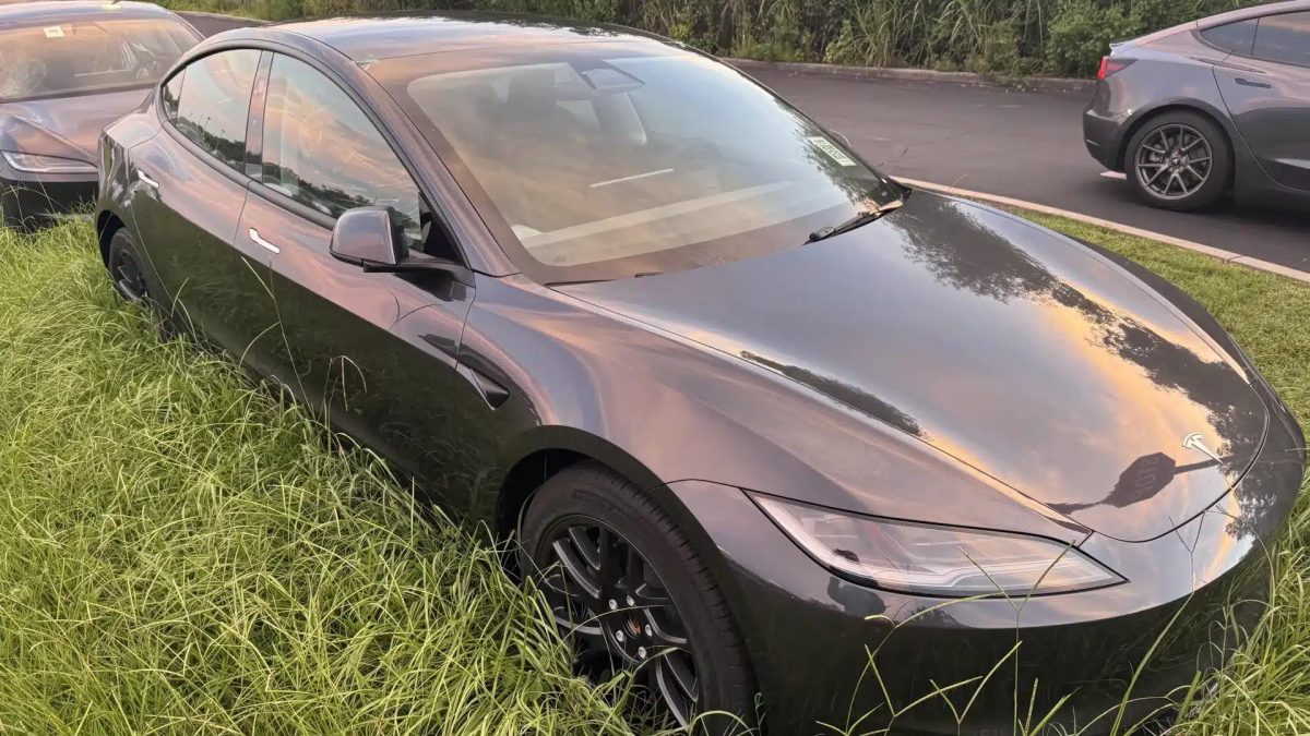 Vendas encalhadas? Entenda o motivo por trás da "plantação de Teslas" em campo dos EUA