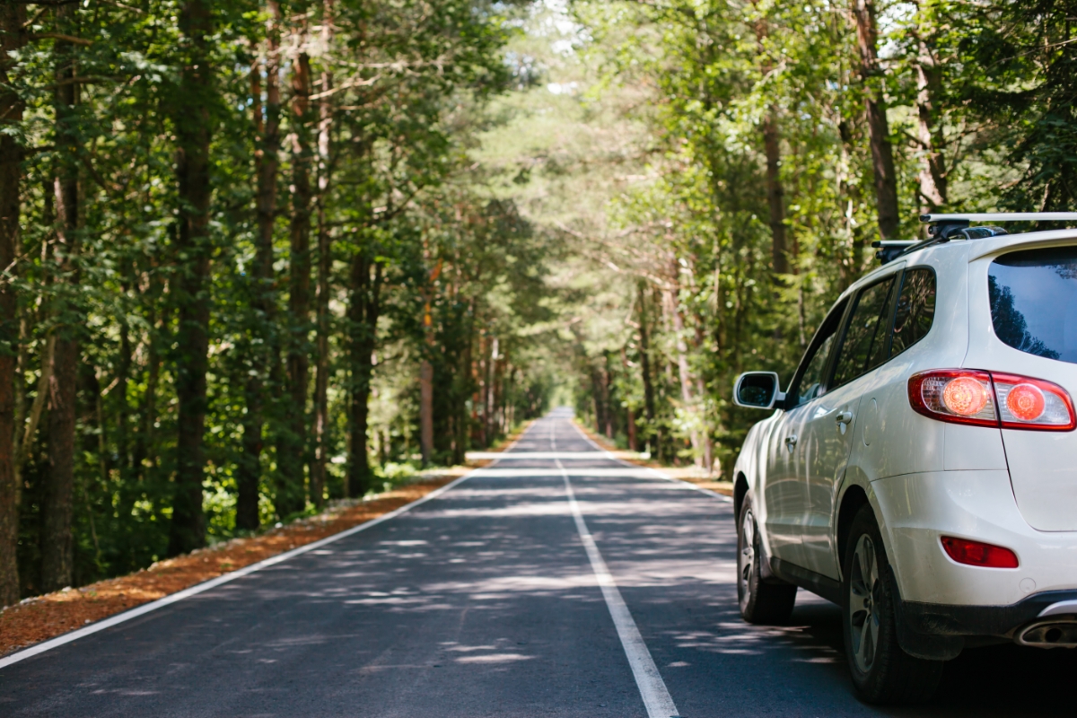 Veja como cuidar do seu carro de forma correta durante a primavera