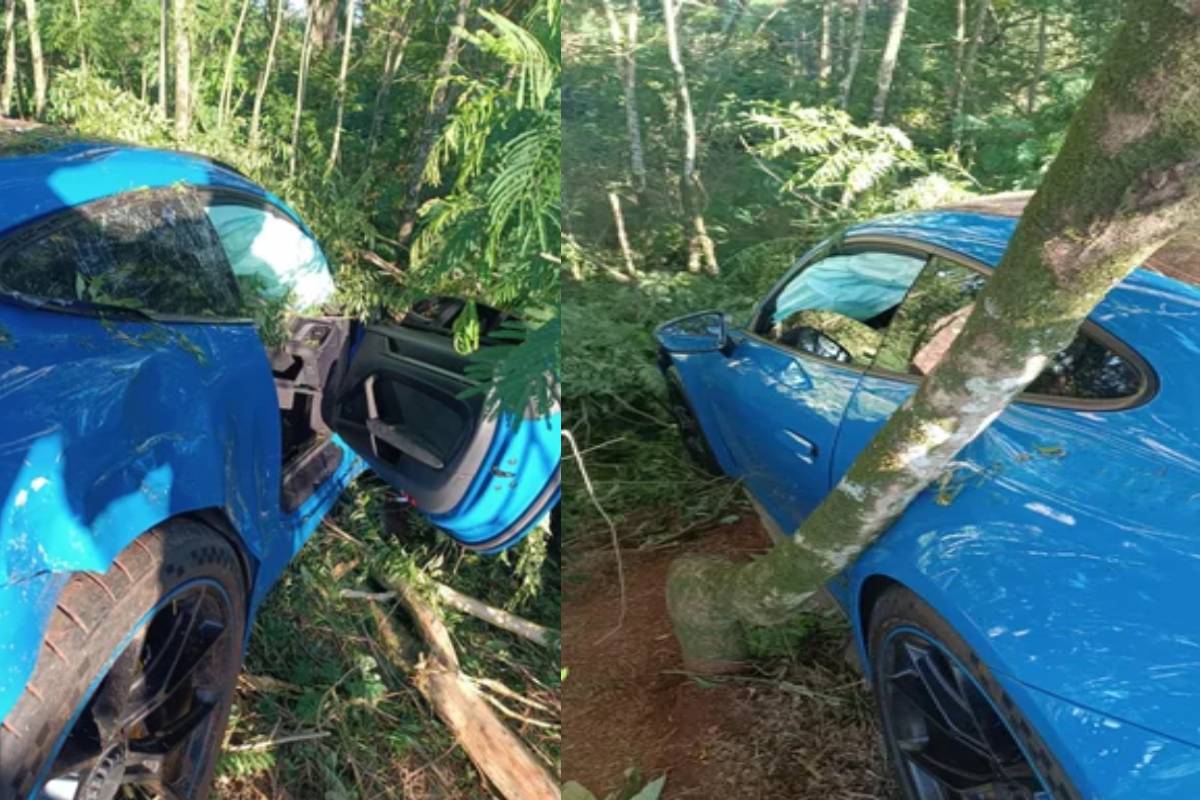 2 milhões de carros de luxo ficam na rodovia — Foto: Arquivo pessoal/Pedro Vanderli