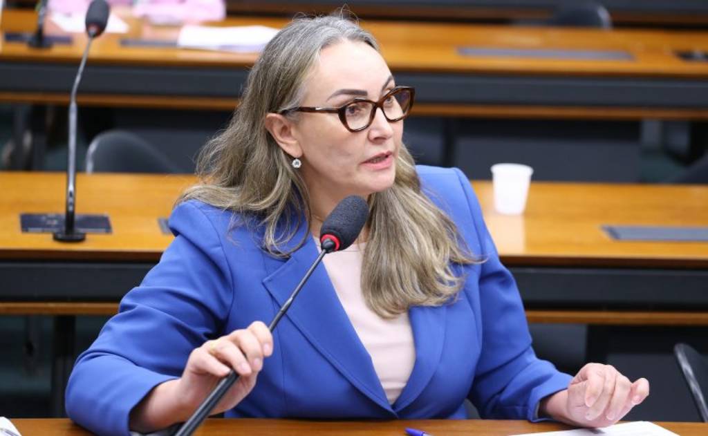 A relatora, a deputada Daniela Reinehr (PL-SC) - Foto: Vinicius Loures/Câmara dos Deputados