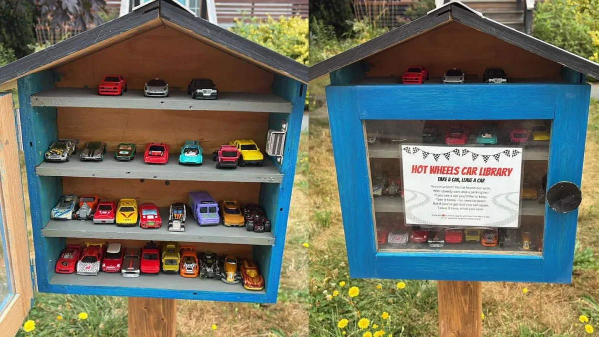 Esta “Biblioteca” de carrinhos Hot Wheels traz alegria para crianças e adultos