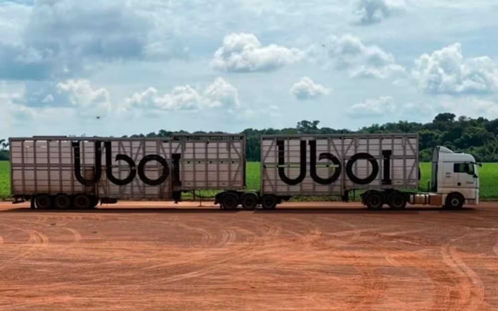 De olho em 9 milhões de animais, empresa lança ‘Uber do Boi’ para transporte de animais
