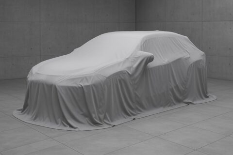 Você arrisca um palpite? A melhor marca do mundo vendeu só 1.101 carros aqui