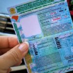 Adeus, autoescola? CNH de graça é confirmada para vários brasileiros; veja a lista