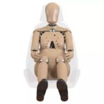Novo boneco de teste de colisão que pode salvar vidas de mulheres
