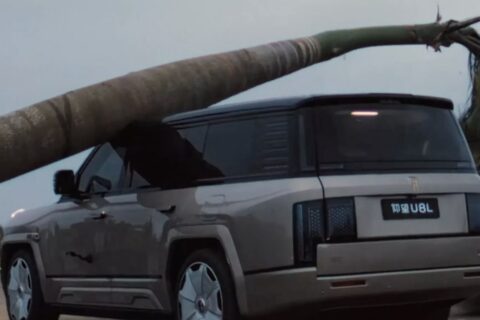 SUV “indestrutível”? BYD derruba árvore gigante sobre o teto do U8 e resultado impressiona