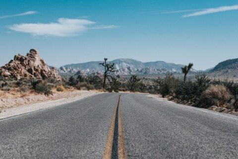 Nova rodovia de 145 km vai custar R$ 7,5 bilhões para acabar com o gargalo da BR 101