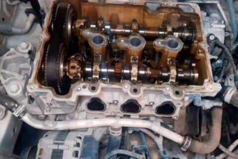 Correia banhada a óleo: ‘o grande vilão são os donos dos carros’, defende especialista