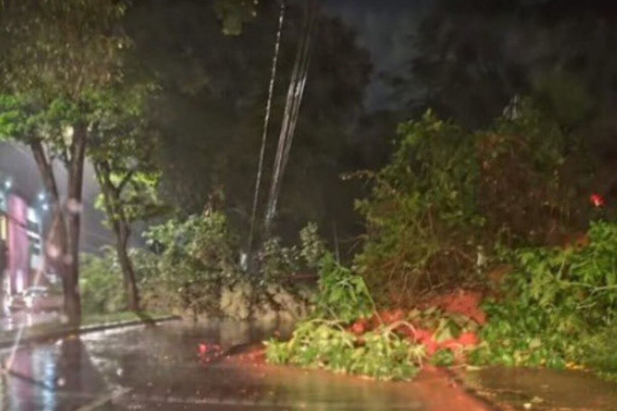 Após 200 mm de chuva em poucas horas. Prefeita de Juiz de Fora decreta home office