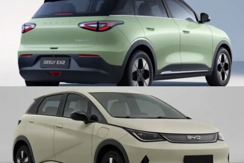 BYD Dolphin Mini ou Geely EX2: qual seguro é mais caro? Qual revisão pesa mais no bolso? Compare!