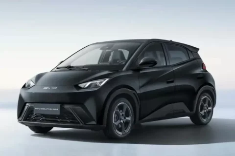 Dophin Mini tem o seguro mais caro do país; acima de R$ 3.974,27