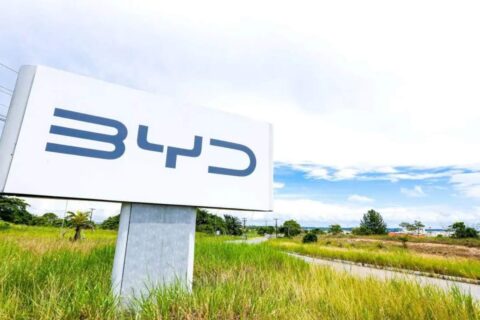 BYD se junta a grande clube brasileiro para derrubar Palmeiras: R$ 600 milhões