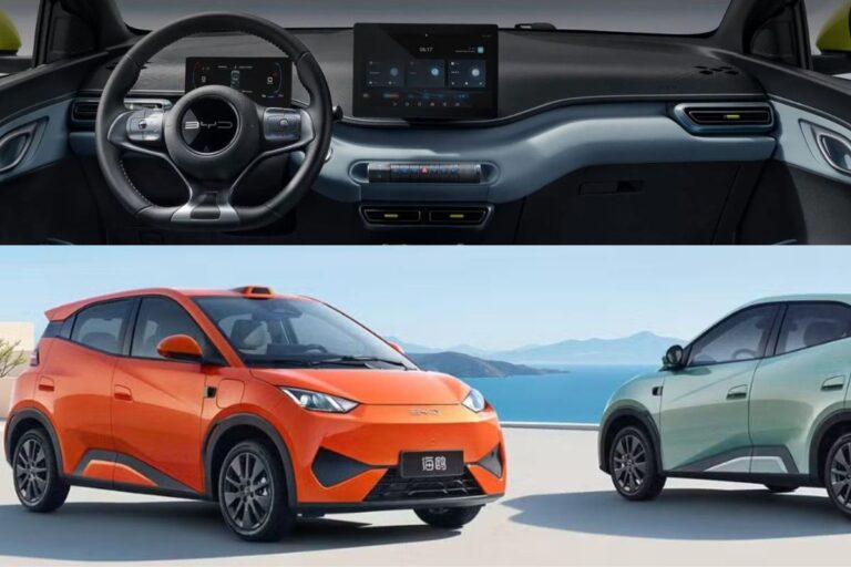 Montagem com BYD Dolphin Mini
