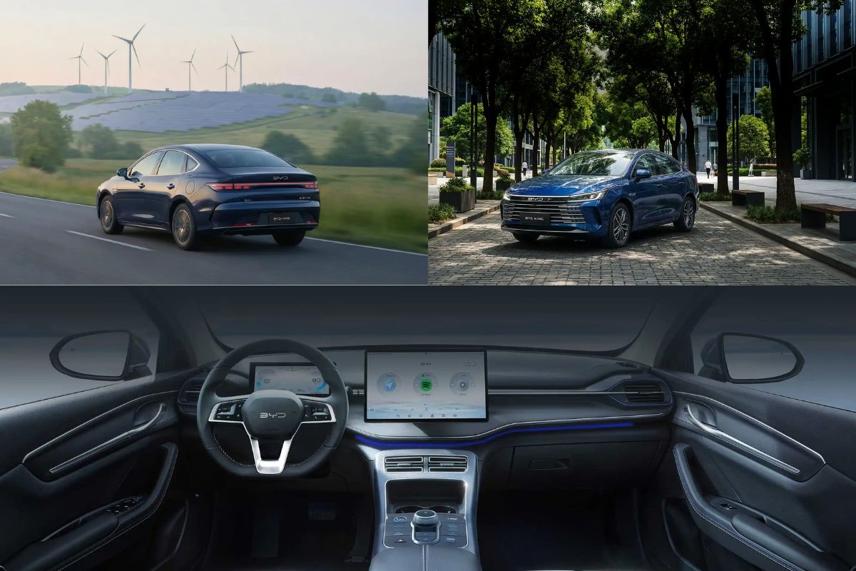 Montagem - BYD King