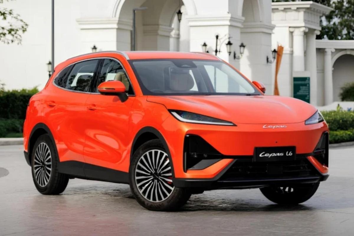 Fulwin T7/Lepas L6
