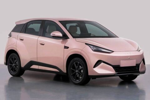BYD confirma Great Seagull de até 420 km e preserva Dolphin Mini; novo hatch ficará entre ele e Dolphin na China